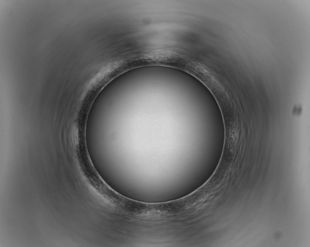 X0000094330734200711091404