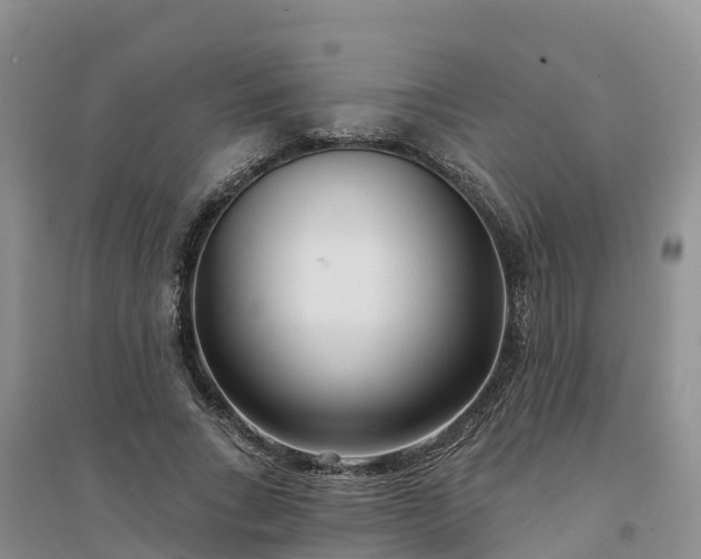 X0000094330735200711091404