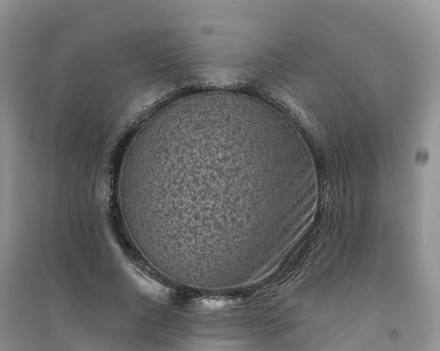 X0000094330736200711091404
