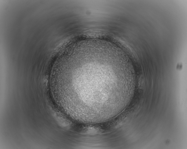 X0000094330737200711091404
