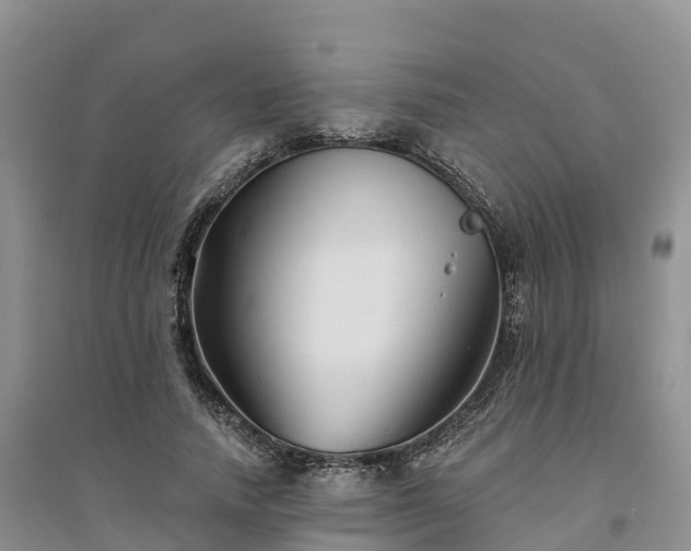 X0000094330738200711091404
