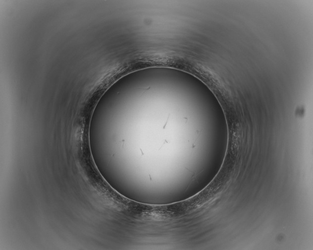 X0000094330739200711091404