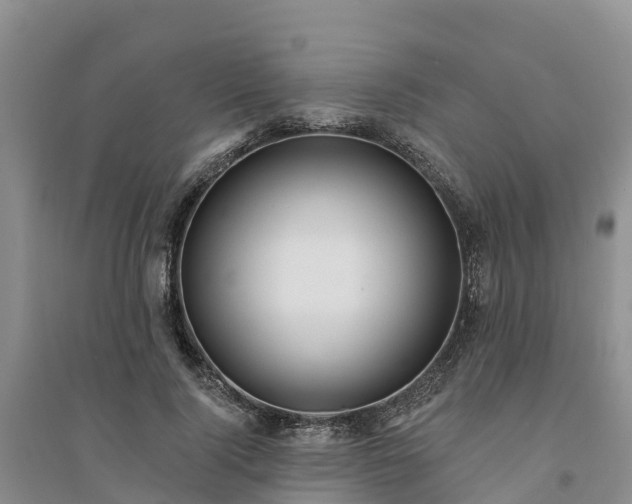 X0000094330740200711091404
