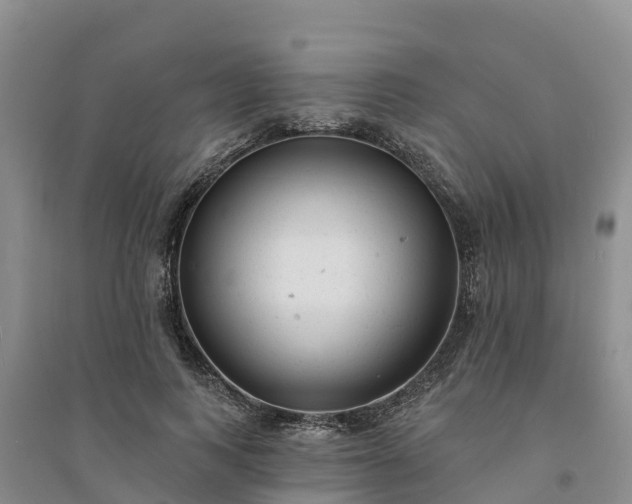 X0000094330743200711091404