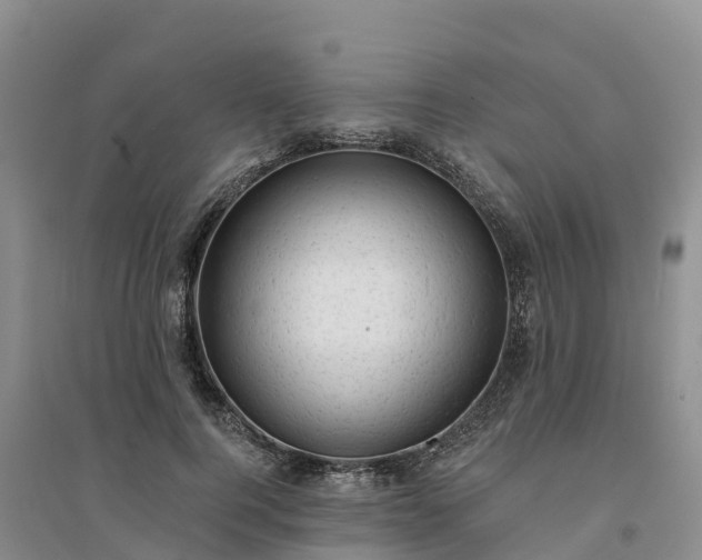X0000094330744200711091404