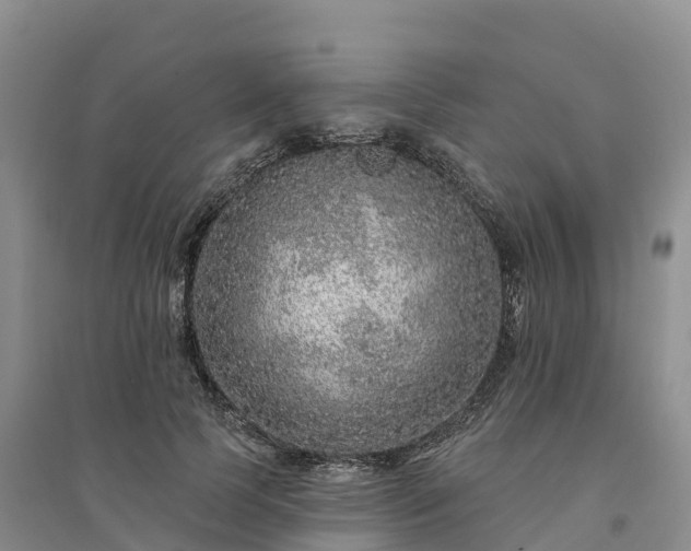 X0000094330745200711091404