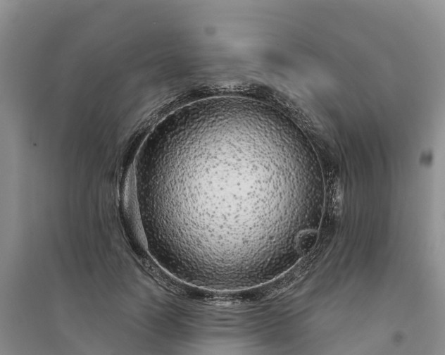 X0000094330746200711091404