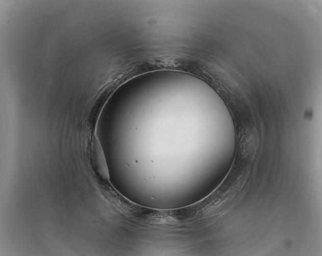 X0000094330747200711091404