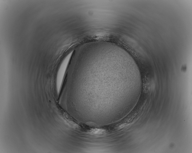 X0000094330748200711091404