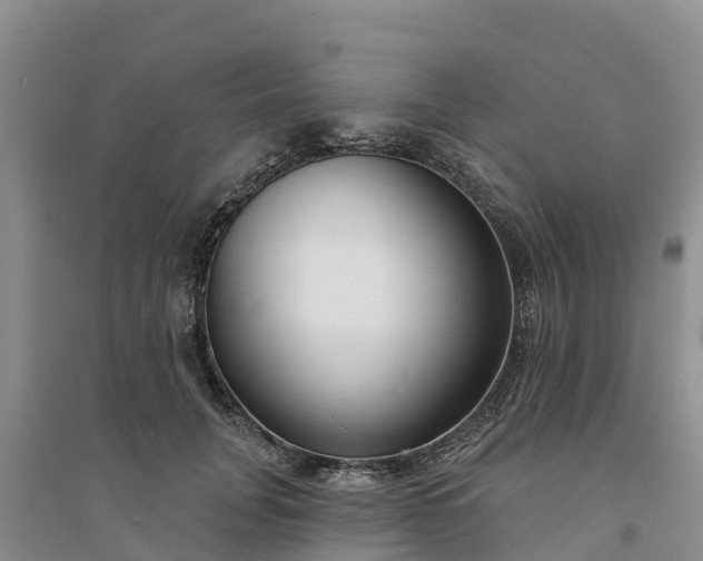 X0000094330751200711091404