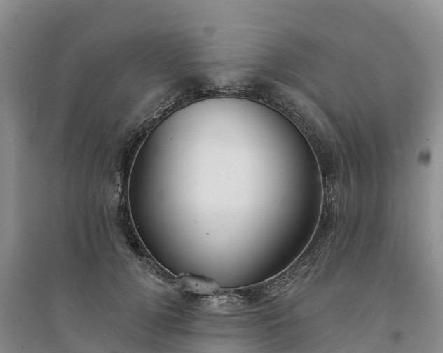 X0000094330752200711091404