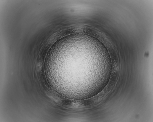 X0000094330753200711091405
