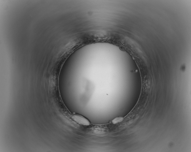 X0000094330756200711091405