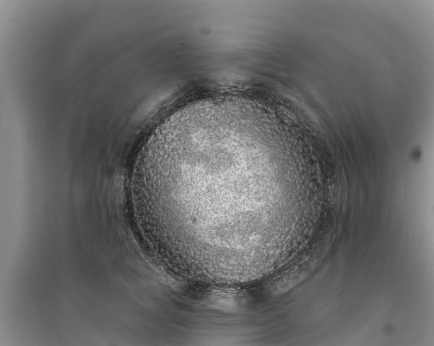 X0000094330757200711091405