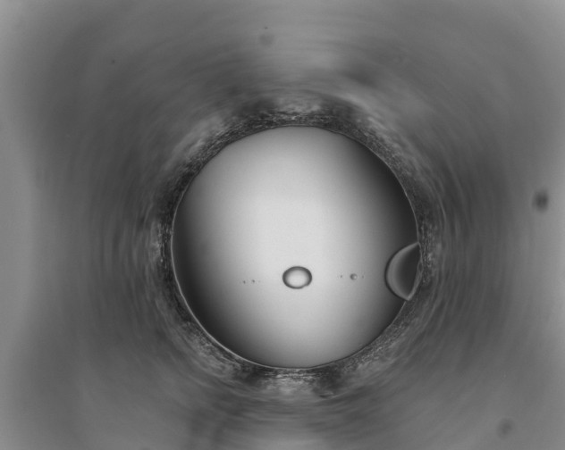 X0000094330758200711091405
