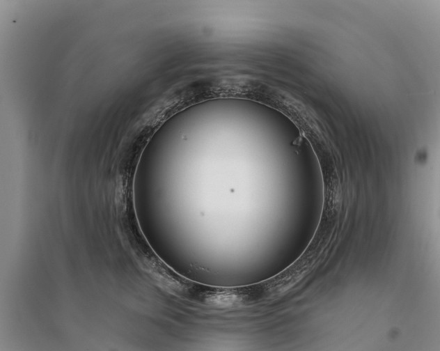 X0000094330759200711091405