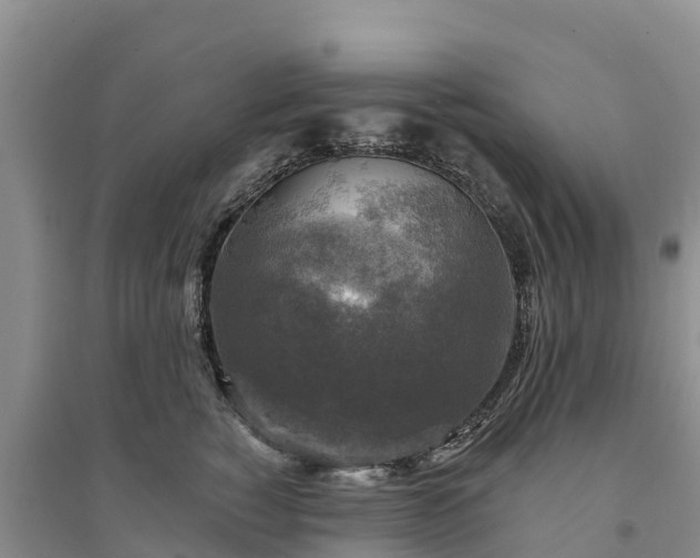 X0000094330760200711091405