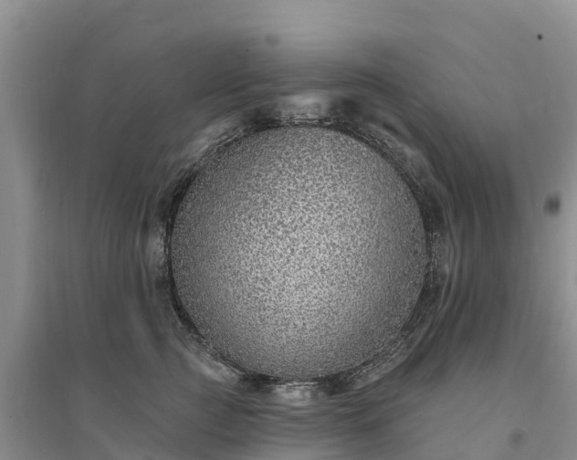 X0000094330761200711091405