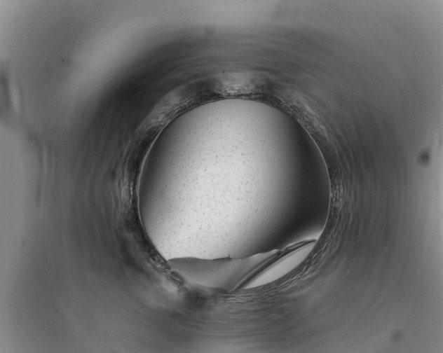 X0000094330763200711091405