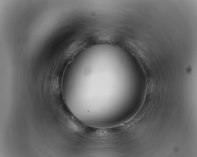X0000094330764200711091405