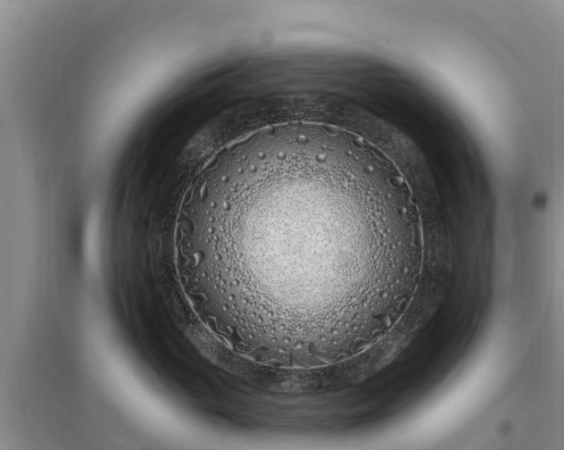 X0000094330765200711091405