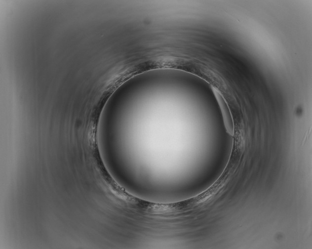 X0000094330766200711091405