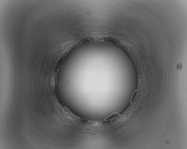 X0000094330768200711091405