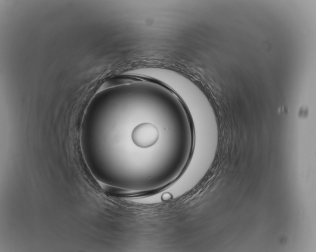 X0000094330769200711091404
