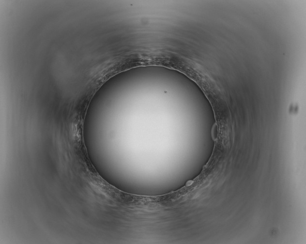 X0000094330770200711091404
