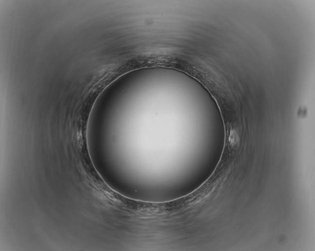 X0000094330771200711091404