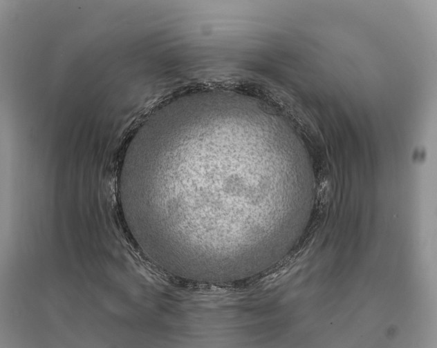 X0000094330772200711091404