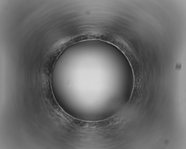 X0000094330773200711091404
