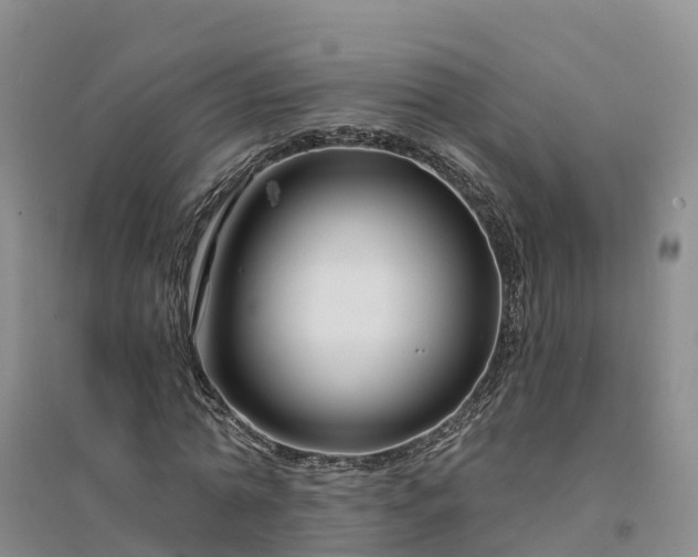 X0000094330774200711091404