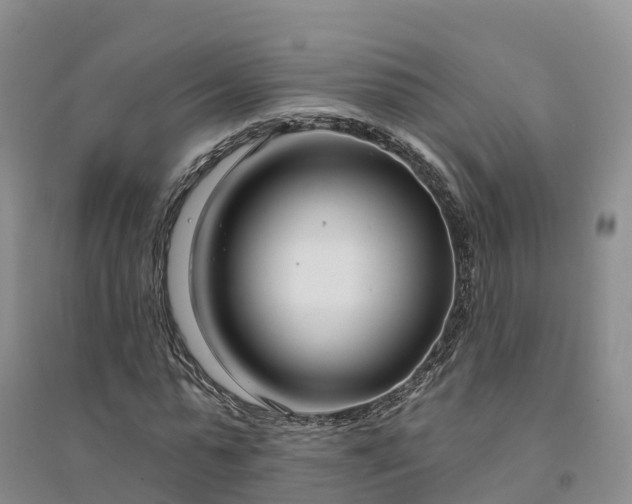 X0000094330775200711091404