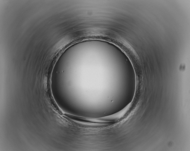 X0000094330777200711091404