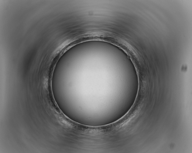 X0000094330778200711091404