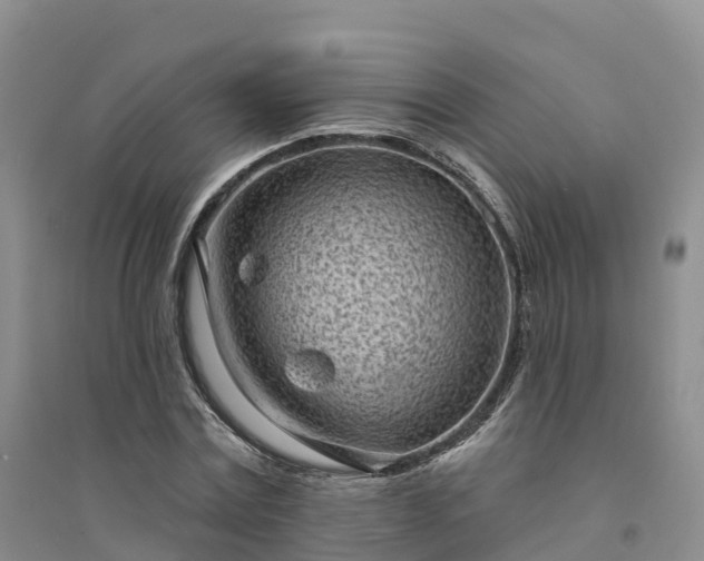 X0000094330779200711091404