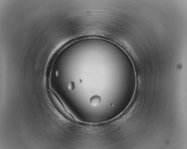X0000094330780200711091404