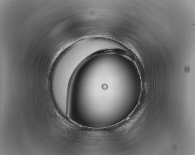 X0000094330781200711091404