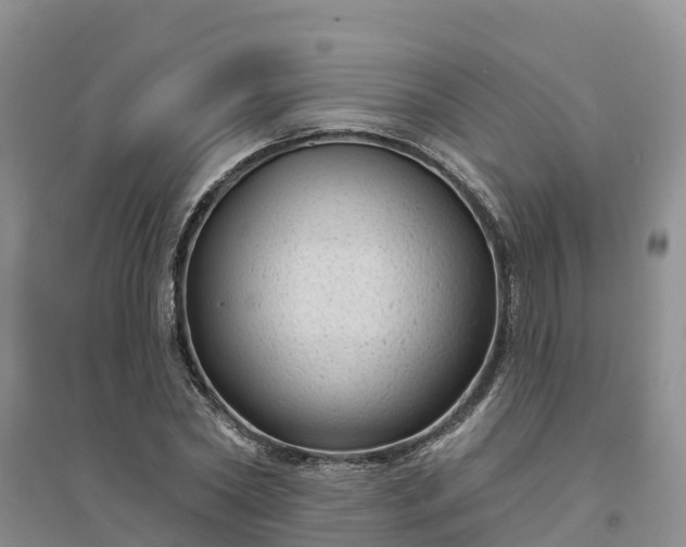X0000094330782200711091404