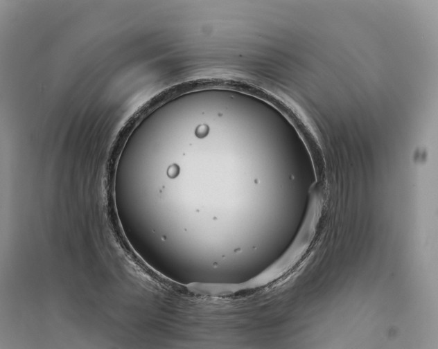 X0000094330783200711091404