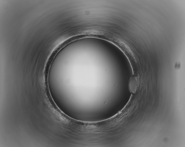 X0000094330784200711091404