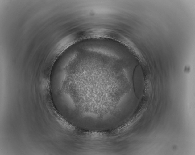 X0000094330785200711091404
