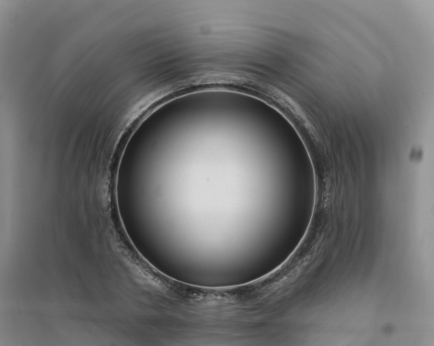 X0000094330786200711091404
