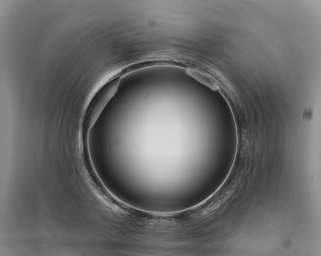 X0000094330788200711091404