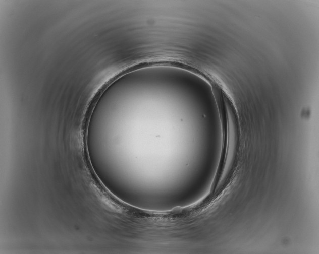 X0000094330789200711091404