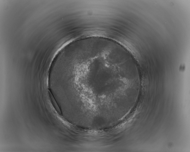 X0000094330790200711091404