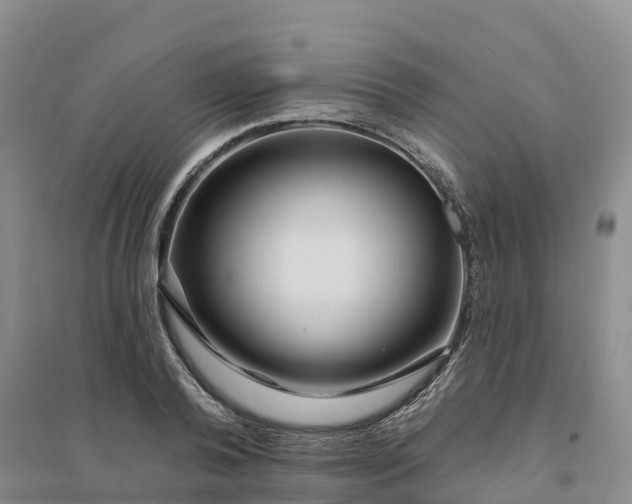 X0000094330792200711091404