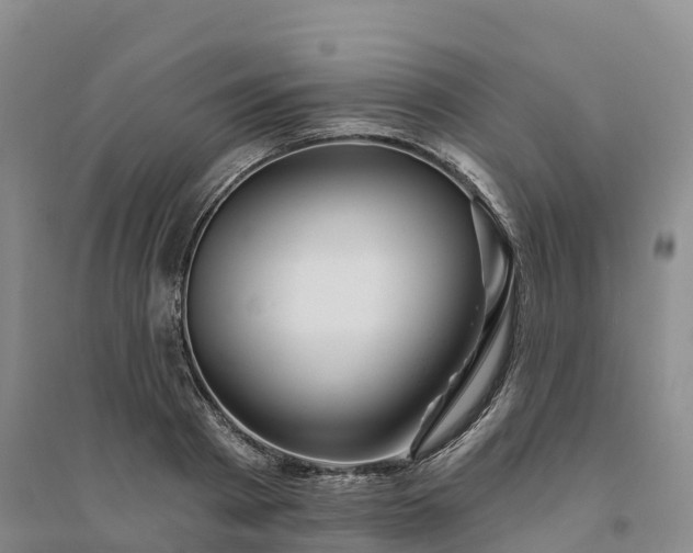 X0000094330793200711091404
