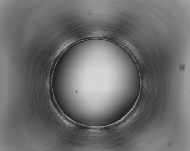 X0000094330794200711091404